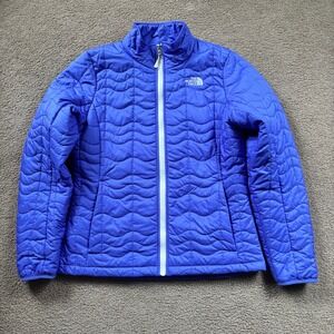The North Face Electric Blue Quilted Puffer Jacket